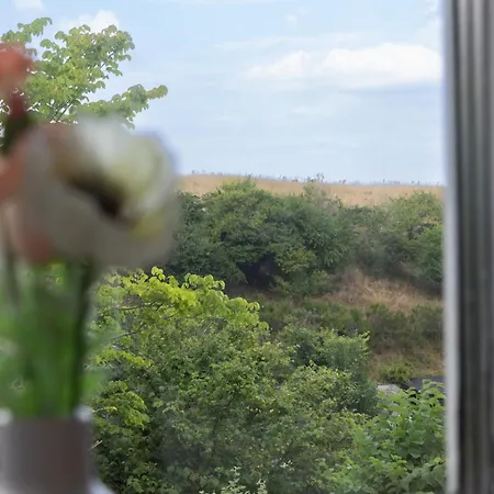 بيت للعطل Idyllic Cottage, Close To The Beach, Nature, And *
